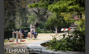 بوستان نیاوران در یک روز آفتابی 17