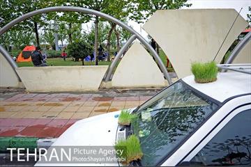 روز طبیعت بارانی در بوستان ولایت 6