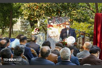 چهارمین جشنواره خرمالوی کن 21