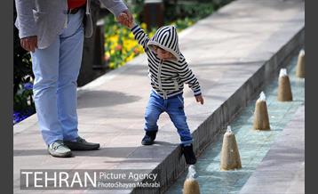 رویش گل های لاله در باغ ایرانی 22