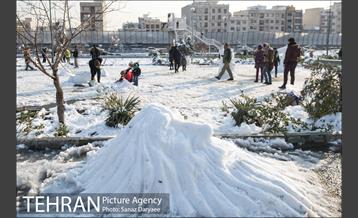 جشنواره مجسمه های برفی 11