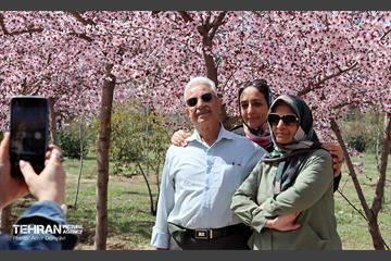 شکوفه‌های بهاری در بوستان سمن‌ها 19