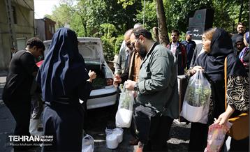 بازدید اصحاب رسانه از باغ ایرانی 22