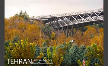 پاییز اراضی عباس آباد 5