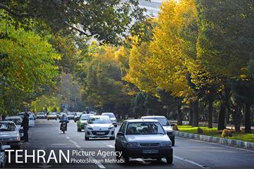 طبیعت پاییزی بلوار کشاورز 15