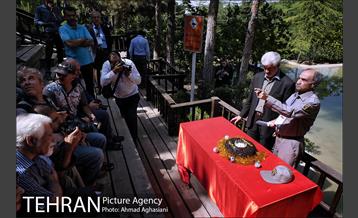 جشن تولد جوجه درنای تاج خاکستری آفریقایی 2