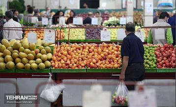 تور بازدید از میادین و بازارهای میوه و تره‌بار شهرداری تهران 24