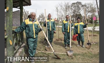 درختکاری و لانه گذاری کبوتر در بوستان بعثت 33