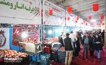 دوازدهمین جشنواره انار  3