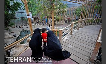 باغ پرندگان تهران 17
