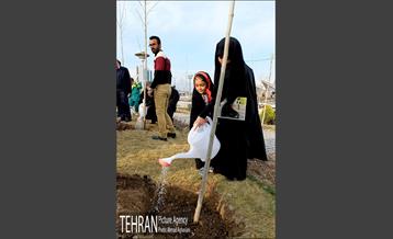 روز درختکاری در گنبد مینا 5