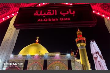 حرم مطهر امام علی (ع) در آستانه اربعین حسینی 5