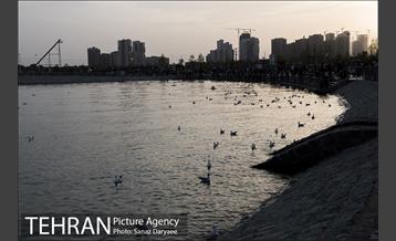 دریاچه شهدای خلیج فارس 7