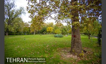 پاییز بوستان لاله 32