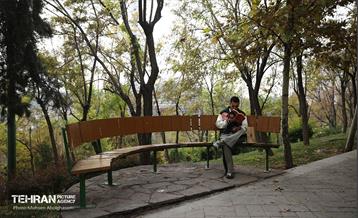 طبیعت پاییزی باغ راه فدک تهران 14