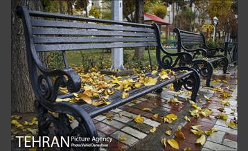 پاییز زیبای پایتخت- 4 16