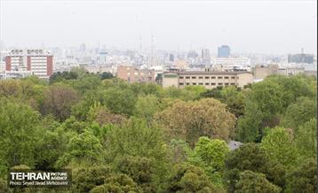 تیتر هوای بهاری تهران 7