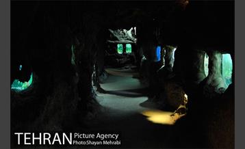 موزه حیات وحش هفت چنار 47