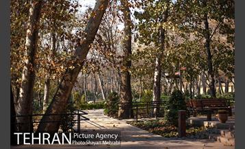 پاییز باغ ایرانی 8