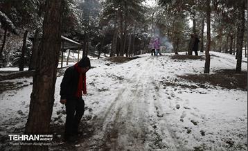 روز برفی تهران - 2 43
