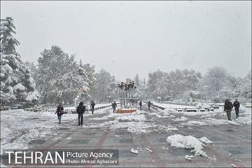 بارش اولین برف پاییزی در تهران 30