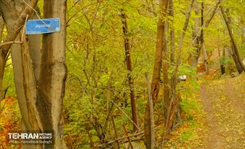 هوای پاییزی پایتخت 34