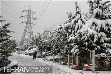 برف زمستانی پارک جمشیدیه 2