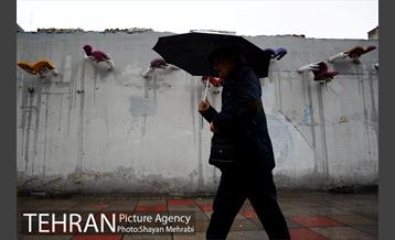 بارش باران بهاری در تهران  12