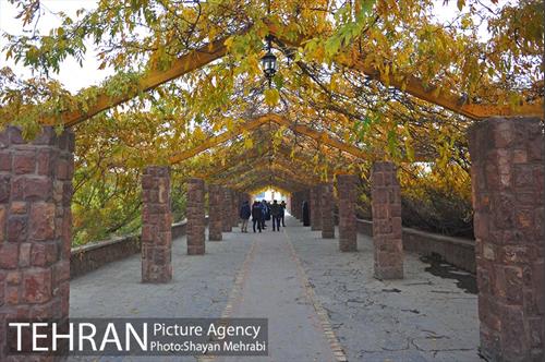 پاییز منطقه گردشگری اراضی عباس آباد 1