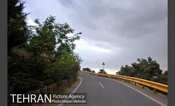 پارک جنگلی لویزان‎ 36