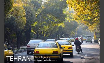 طبیعت پاییزی بلوار کشاورز 14