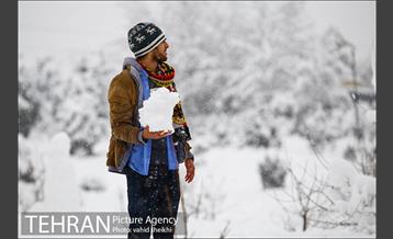 تفریحات برفی مردم پایتخت 8