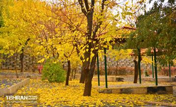 هوای پاییزی پایتخت 11