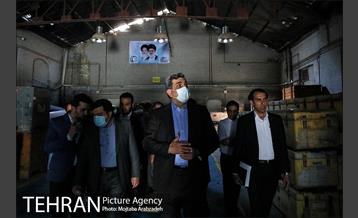 بازدید دکتر حناچی از بوستان ولایت 2