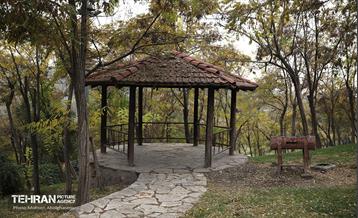 طبیعت پاییزی باغ راه فدک تهران 18