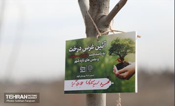 آئین غرس درخت به پاسداشت شهدای منطقه ۵ 5