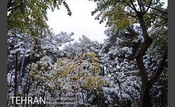 بارش برف پاییزی در بوستان طالقانی 11