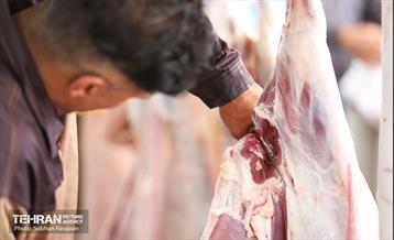 مرکز عرضه دام بهداشتی به مناسبت عید قربان 14