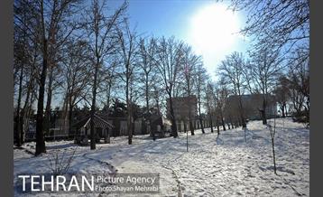 فصل زمستان در بوستان ملت 41