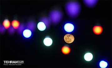 ویژه برنامه «مهمونی شهر» در باغ‌راه حضرت زهرا(س) - 3 6