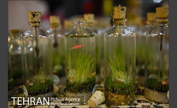 بازارچه نوروزی بساط گستران پارکینگ پروانه 4