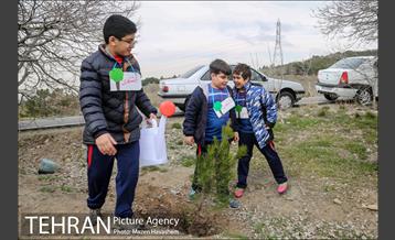 آیین غرس پنچ هزار اصله نهال در اراضی جنگل لویزان 13