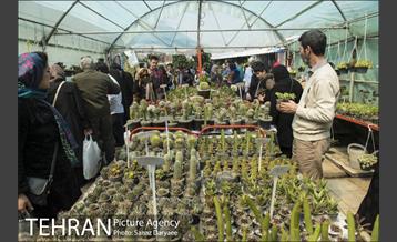 بازار گل شهید محلاتی 9