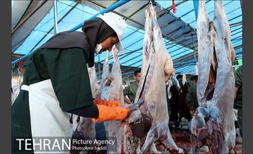 مراکز عرضه بهداشتی دام زنده 29