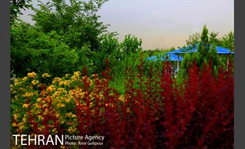 بوستان جوانمردان ایران‎ 21