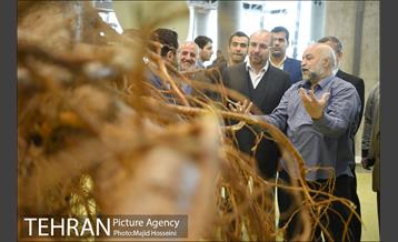 بازدید شهردار تهران از پروژه باغ کتاب در مجموعه اراضی عباس آباد 11