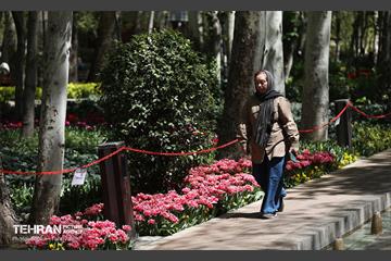 باغ ایرانی میزبان لاله‌ها 37