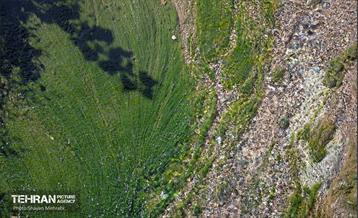 بازدید اعضای شورا از پروژه‌های خاکریز آب 12