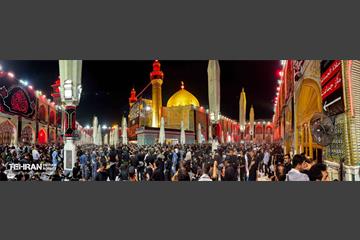 حرم مطهر امام علی (ع) در آستانه اربعین حسینی