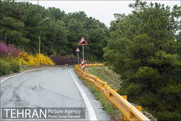 طبیعت بهاری پارک جنگلی لویزان‎  14
